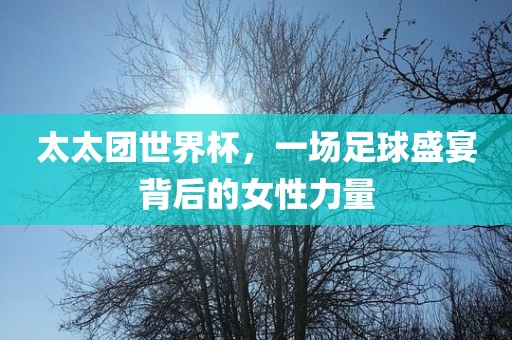太太团世界杯，一场足球盛宴背后的女性力量