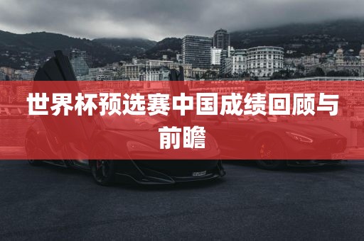 世界杯预选赛中国成绩回顾与前瞻洛阳市法福文化传播有限公司