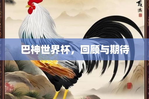 巴神世界杯，回顾与期待