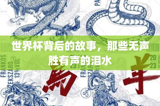 世界杯背后的故事，那些无声胜有声的泪水