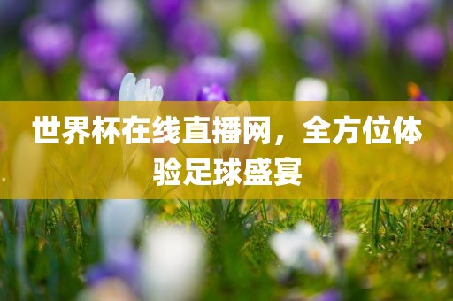 世界杯在线直播网，全方位体验足球盛宴