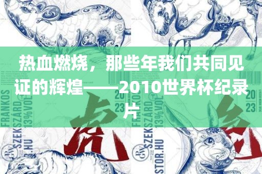热血燃烧，那些年我们共同见证的辉煌——2010世界杯纪录片