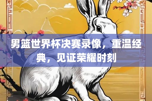 男篮世界杯决赛录像，重温经典，见证荣耀时刻洛阳市法福文化传播有限公司