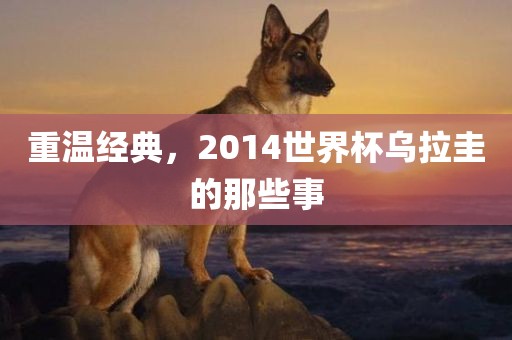 重温经典，2014世洛阳市法福文化传播有限公司界杯乌拉圭的那些事