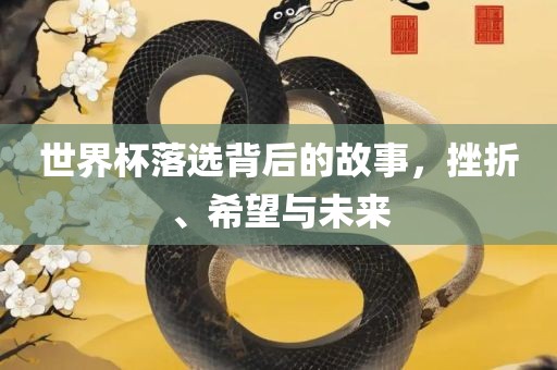 世界杯落选背后的故事，挫折、希望与未来