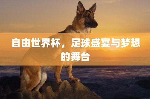 自由世界杯，足球盛宴与梦想的舞台