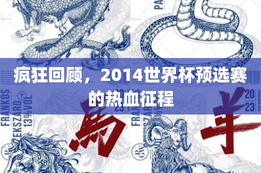 疯狂回顾，2014世界杯预选赛的热血征程