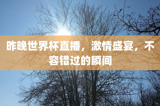 昨晚世界杯直播，激情盛宴，不容错过的瞬间