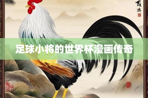 足球小将的世界杯漫画传奇