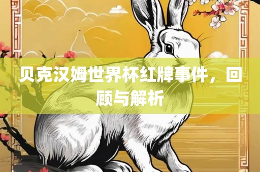 贝克汉姆世界杯红牌事件，回顾与解析