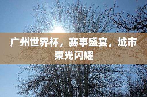 广州世界杯，赛事盛宴，城市荣光闪耀洛阳市法福文化传播有限公司