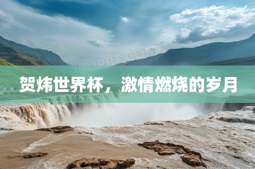 激情燃烧的岁月