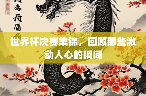 世界杯决赛集锦，回顾那些激动人心的瞬间