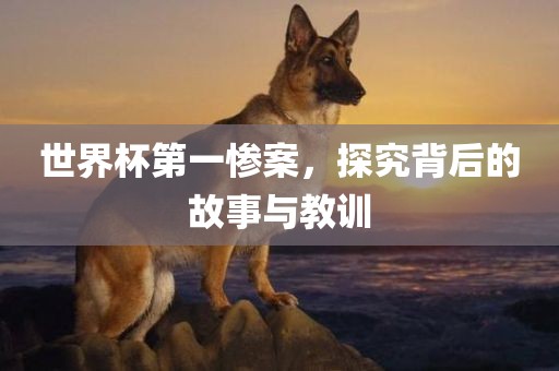 世界杯第一惨案，探究背后的故事与教训