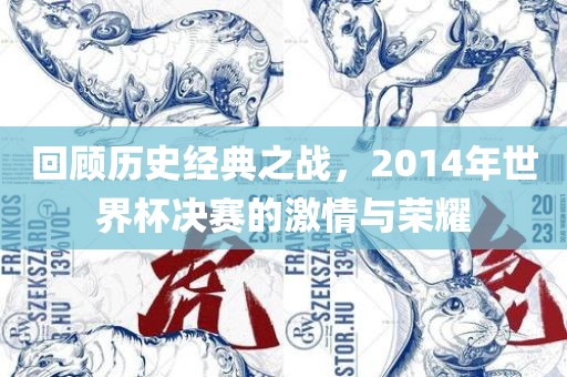 回顾历史经典之战，2014年世界杯决赛的激情与荣耀