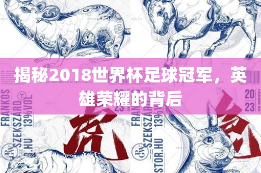 揭秘2018世界杯足球冠军，英雄荣耀的背后