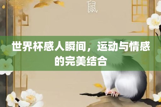 世界杯感人瞬间，运动与情感的完美结合洛阳市法福文化传播有限公司