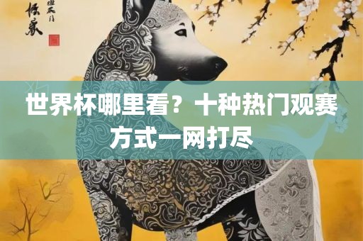 世界杯哪里看？十种热门观赛方式一网打尽洛阳市法福文化传播有限公司