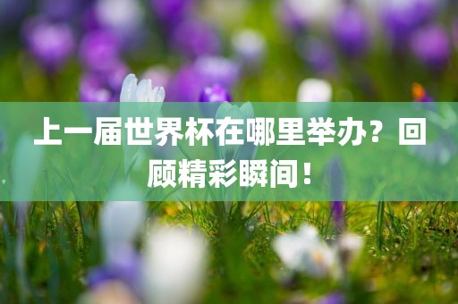 上一届世界杯在哪里举办？回顾精彩瞬间！