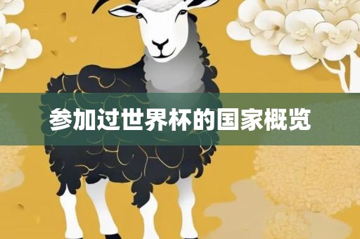 参加过世界杯的国家概览洛阳市法福文化传播有限公司