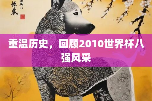 重温历史，回顾2010世界杯八强风采