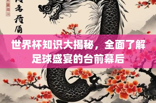 世界杯知识大揭秘，全面了解足球盛宴的台前幕后洛阳市法福文化传播有限公司