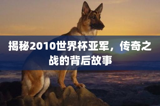 揭秘2010世界杯亚军，传奇之战的背后故事