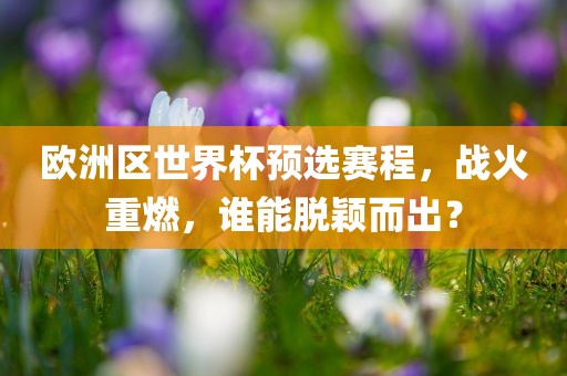 欧洲区世界杯预选赛程，战火重燃，谁能脱颖而出？洛阳市法福文化传播有限公司