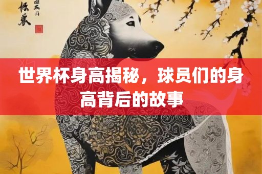 世界杯身高揭秘，球员们的身高背后的故事洛阳市法福文化传播有限公司