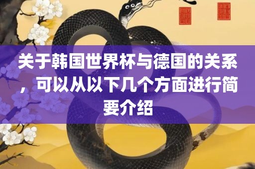 关于韩国世界杯与德国的关系，可以从以下几个方面进行简要介绍