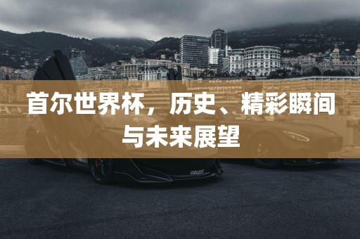 首尔世界杯，历史、精彩瞬间与未来展望