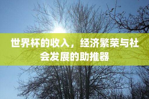 世界杯的收入，经济繁荣与社会发展的助推器洛阳市法福文化传播有限公司