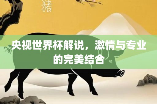 央视世界杯解说，激情与专业的完美结合洛阳市法福文化传播有限公司