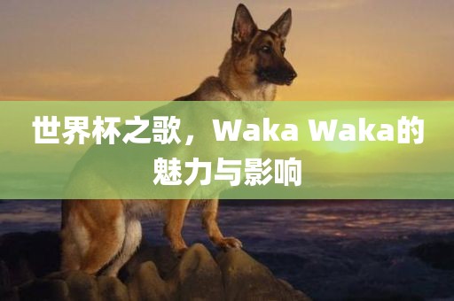 世界杯之歌，Waka Waka的魅力与影响
