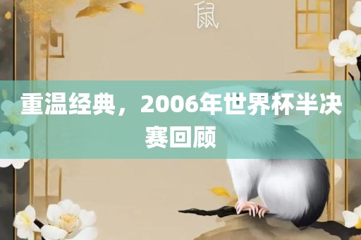 重温经典，2006年世界杯半决赛回顾