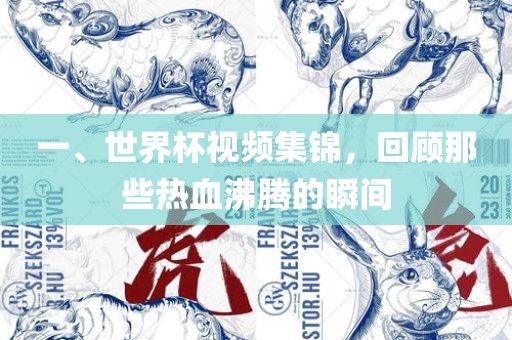 一、世界杯视频集锦，回顾那些热血沸腾的瞬间