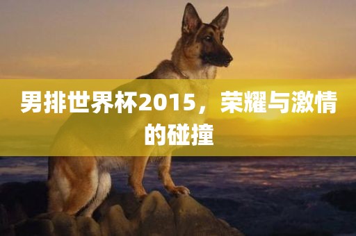 男排世界杯2015，荣耀与激情的碰撞