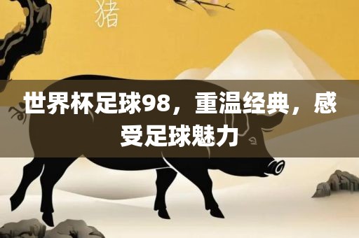 世界杯足球98，重温经典，感受足球魅力