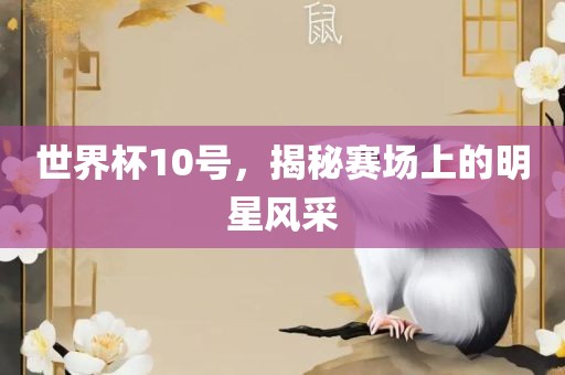 世界杯10号，揭秘赛场上的明星风采