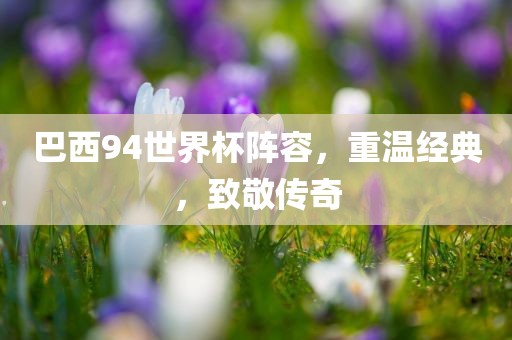 巴西94世界杯阵容，重温经典，致敬传奇