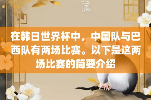 在韩日世界杯中，中国队与巴西队有两场比赛。以下是这两场比赛的简要介绍