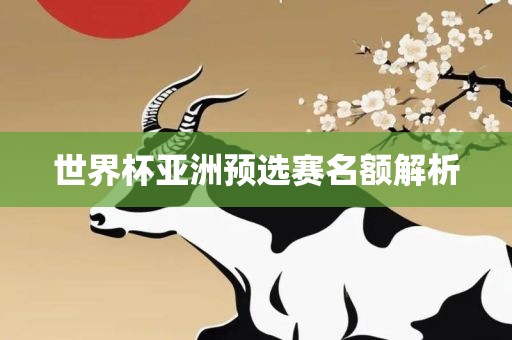 世界杯亚洲预选赛名额解析