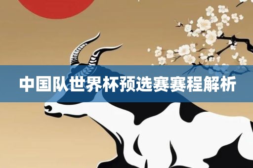 中国队世界杯预选赛赛程解析