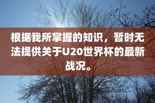 根据我所掌握的知识，暂时无法提供关于U20世界杯的最新战况。