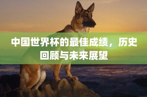 中国世界杯的最佳成绩，历史回顾与未来展望洛阳市法福文化传播有限公司