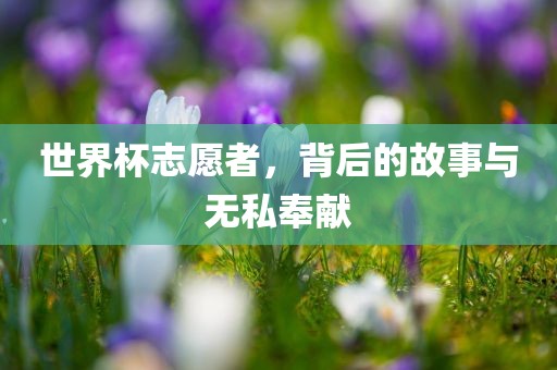 世界杯志愿者，背后的故事与无私奉献洛阳市法福文化传播有限公司