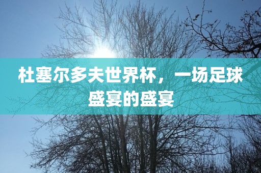 杜塞尔多夫世界杯，一场足球盛宴的盛宴洛阳市法福文化传播有限公司