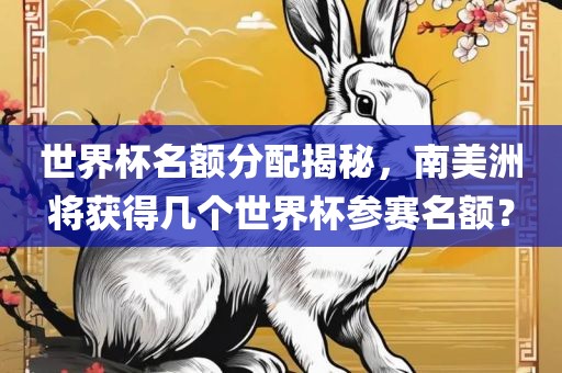 世界杯名额分配揭秘，南美洲将获得几个世界杯参赛名额？