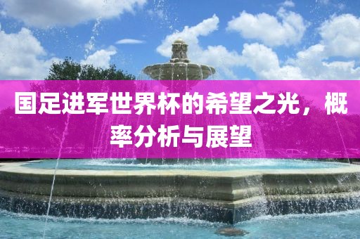 国足进军世界杯的希望之光，概率分析与展望