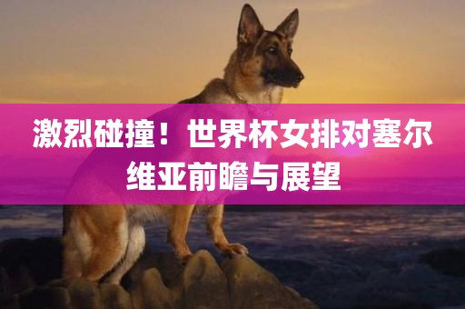 激烈碰撞！世界杯女排对塞尔维亚前瞻与展望